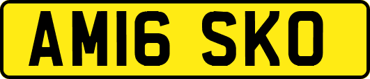 AM16SKO