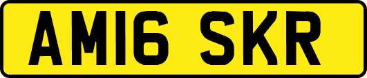 AM16SKR