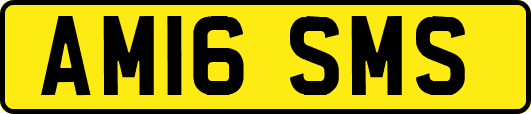 AM16SMS