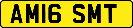 AM16SMT
