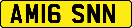 AM16SNN