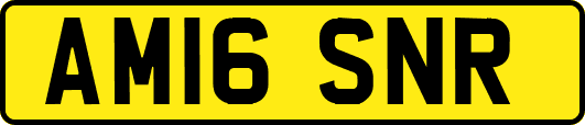 AM16SNR