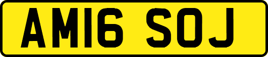 AM16SOJ