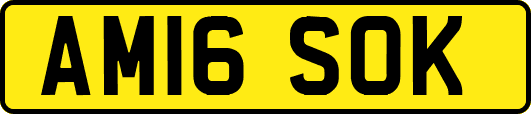 AM16SOK