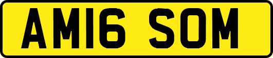 AM16SOM