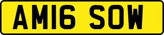 AM16SOW