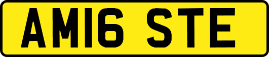 AM16STE