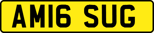 AM16SUG