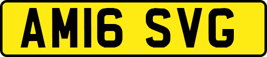 AM16SVG