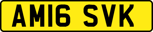 AM16SVK