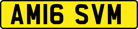 AM16SVM