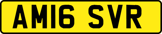 AM16SVR
