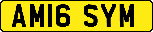 AM16SYM