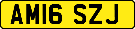 AM16SZJ