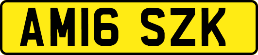 AM16SZK