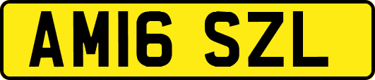 AM16SZL