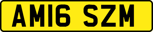 AM16SZM