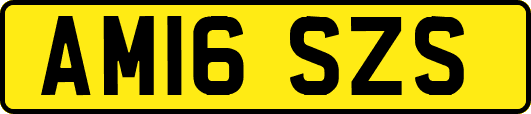 AM16SZS