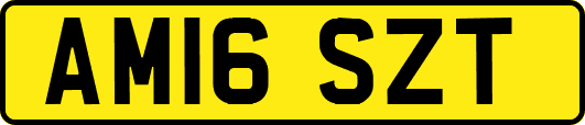 AM16SZT