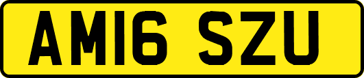 AM16SZU