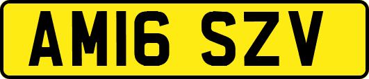 AM16SZV