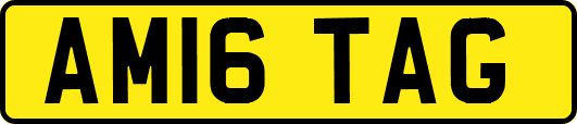AM16TAG