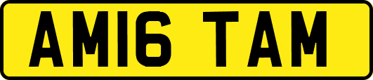 AM16TAM