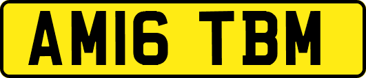 AM16TBM