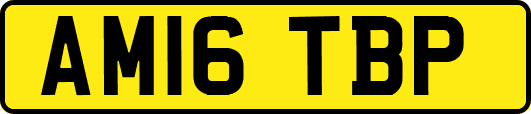 AM16TBP