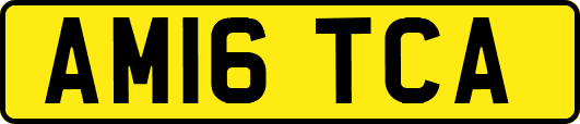 AM16TCA