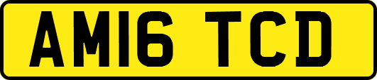 AM16TCD