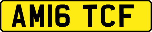 AM16TCF