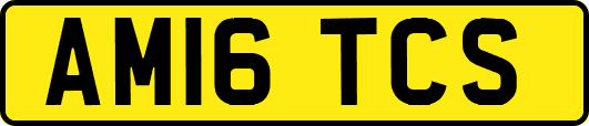 AM16TCS