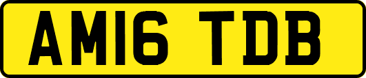 AM16TDB