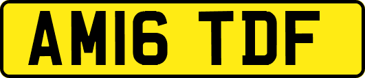 AM16TDF