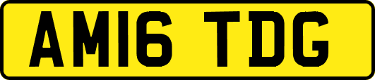 AM16TDG