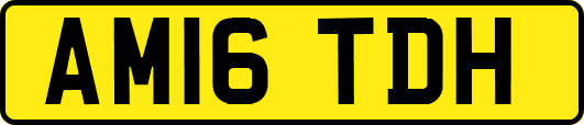 AM16TDH