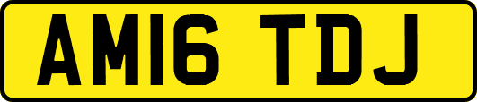 AM16TDJ