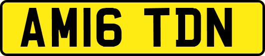 AM16TDN