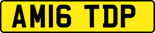 AM16TDP