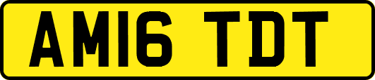 AM16TDT