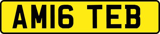 AM16TEB