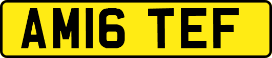 AM16TEF