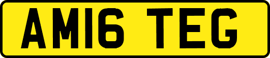 AM16TEG