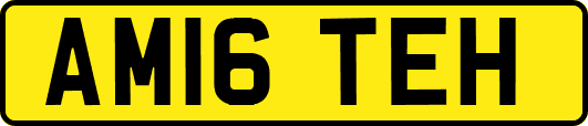 AM16TEH