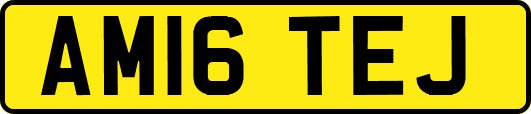 AM16TEJ