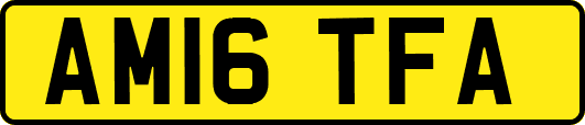 AM16TFA