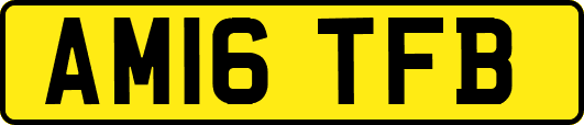 AM16TFB