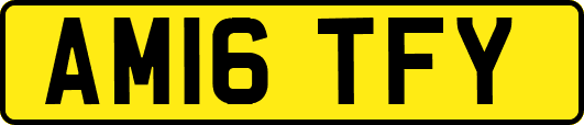 AM16TFY