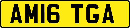 AM16TGA